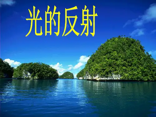 光的反射p