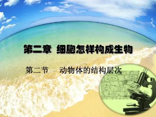 第二节动物体的结构层次