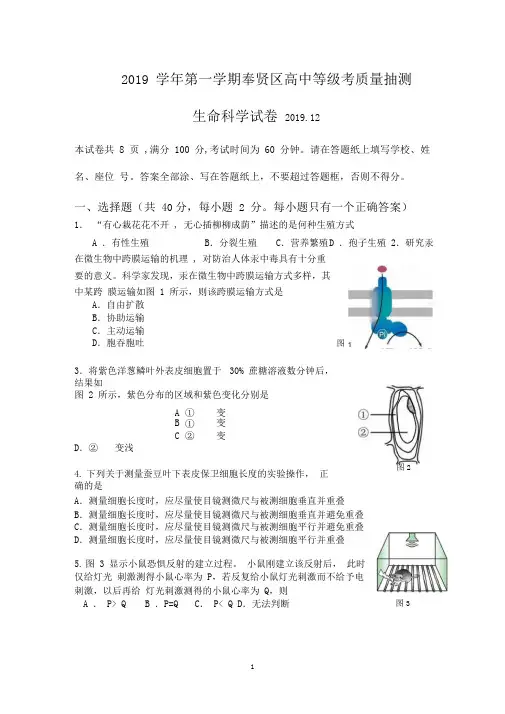 2019学年第一学期奉贤区高中等级考质量抽测生命科学试卷