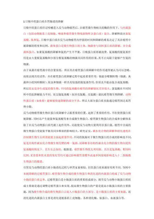 蛋白质消化与吸收