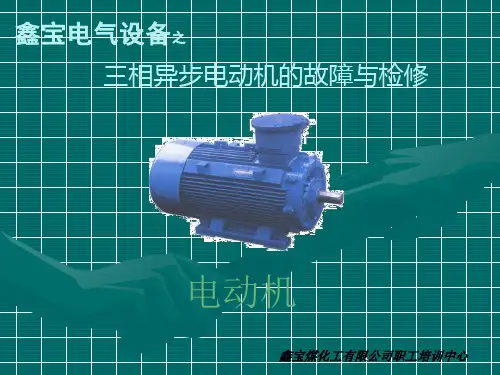 三相异步电动机常见故障与检修讲课稿