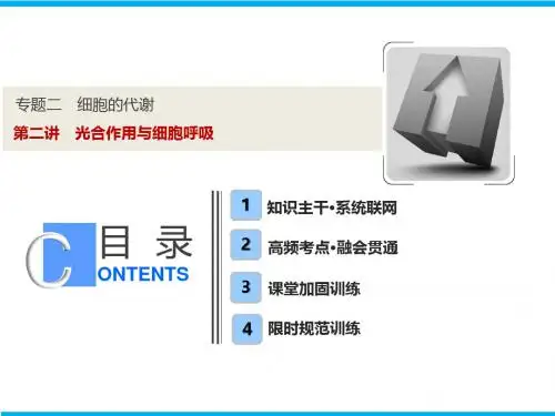第一部分  专题二  第二讲 光合作用与细胞呼吸