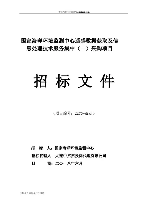 遥感数据获取及信息处理技术服务集中采购项目中招投标书范本