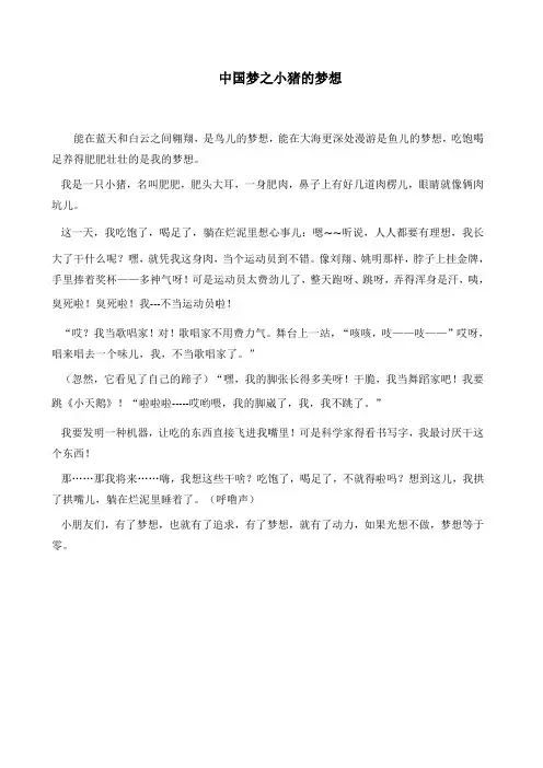 小猪的理想