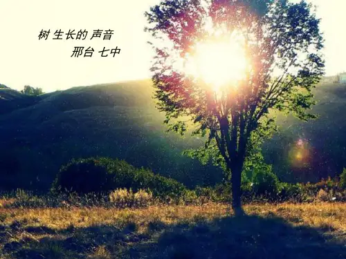 湘教版高一地理必修1第一章复习