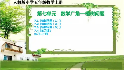 人教版小学五年级数学上册7.5第七单元《数学广角-植树问题》课文和练习二十四课件