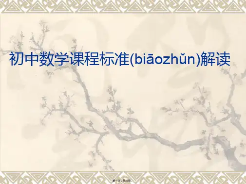 初中数学课程标准解读(精)
