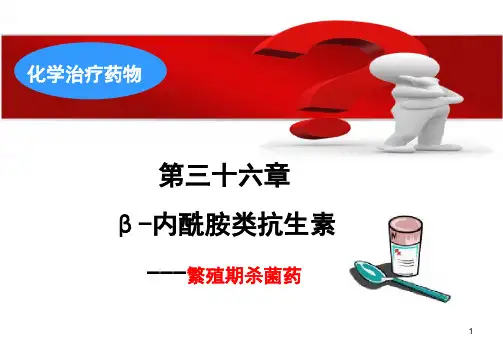36(本)β-内酰胺类抗生素