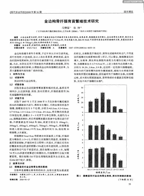 金边枸骨扦插育苗繁殖技术研究