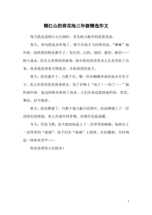 锦江山的荷花池三年级精选作文