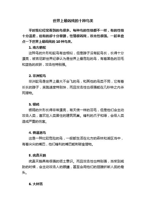 世界上最凶残的十种鸟类