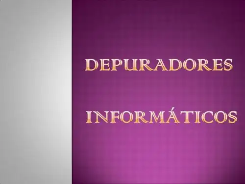 Depuradoresdiapositivas共18页文档