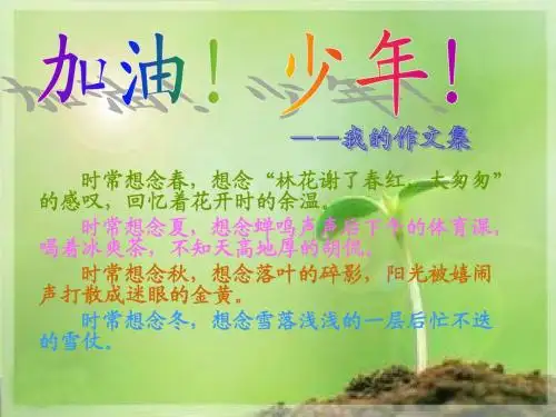 作文集