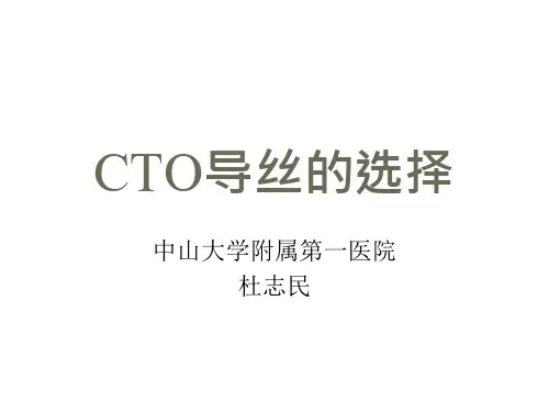 CTO导丝