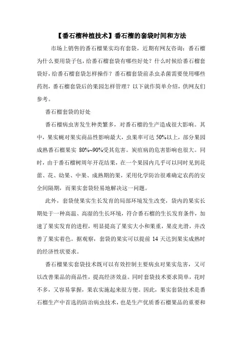 【番石榴种植技术】番石榴的套袋时间和方法