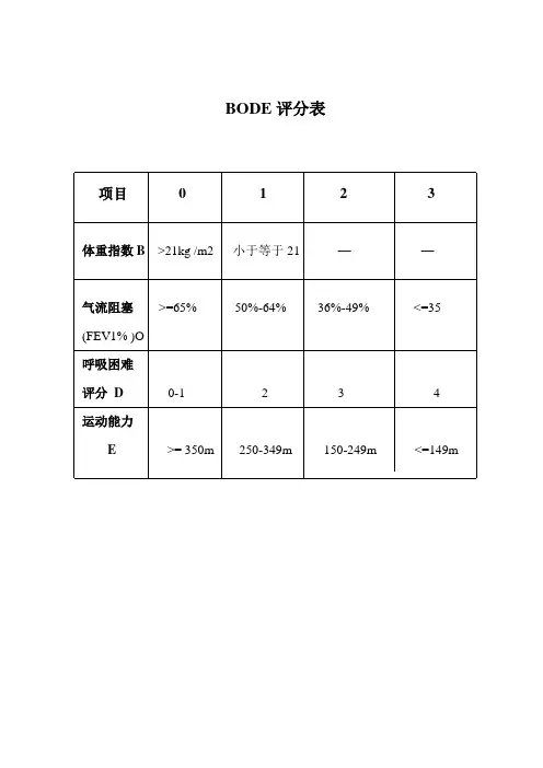 BODE评分表