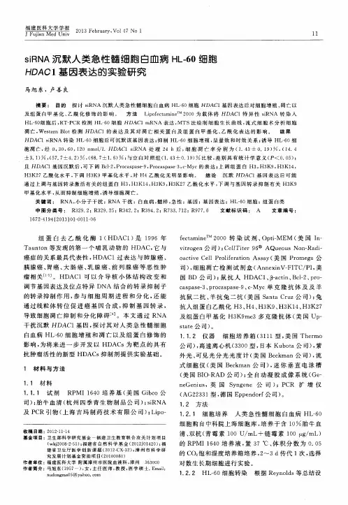 siRNA沉默人类急性髓细胞白血病HL-60细胞HDAC1基因表达的实验研究