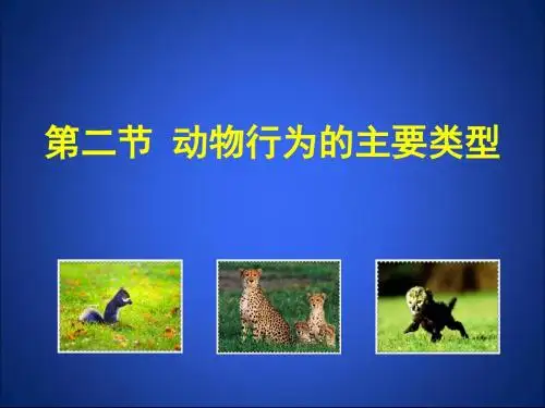 福建省邵武七中北师版八年级生物上册课件：16-2 动物行为的主要类型