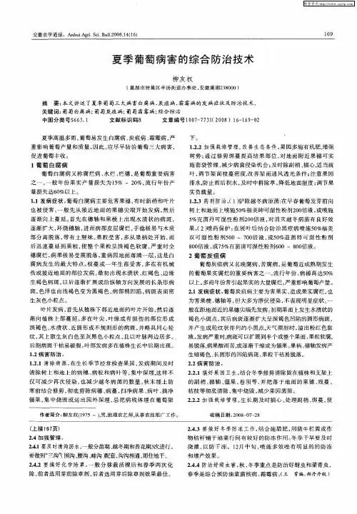 夏季葡萄病害的综合防治技术