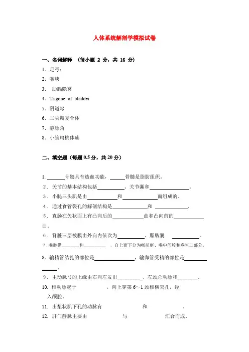 人体系统解剖学模拟试卷