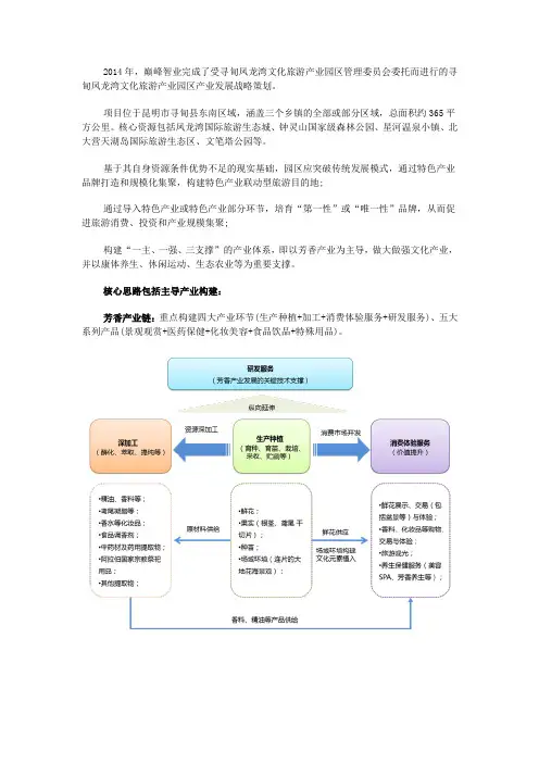 寻甸凤龙湾文化旅游产业园区产业发展战略策划_巅峰智业