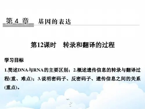 高中生物必修二课件：4.1.1 转录和翻译的过程