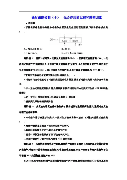 2019届高考一轮生物复习课时跟踪检测(十)  光合作用的过程和影响因素