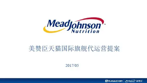 电商行业美赞臣天猫国际海外旗舰店代运营营销策划方案