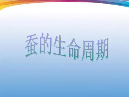 2.5蚕的生命周期