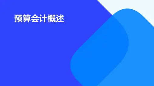 预算会计概述