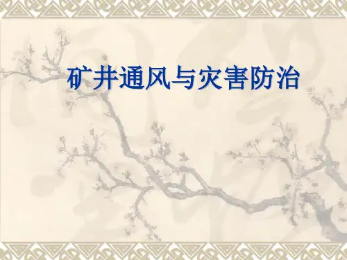 矿井通风与灾害防治.pptx