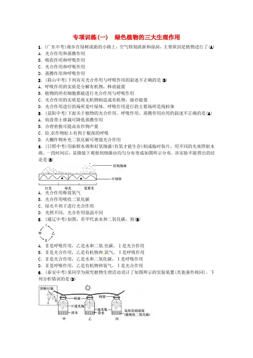 2019年中考生物总复习主题三生物圈中的绿色植物专项训练一绿色植物的三大生理作用