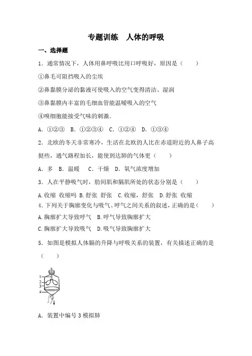 2018中考生物专题训练：人体的呼吸