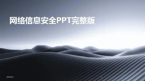 2024年度网络信息安全PPT完整版