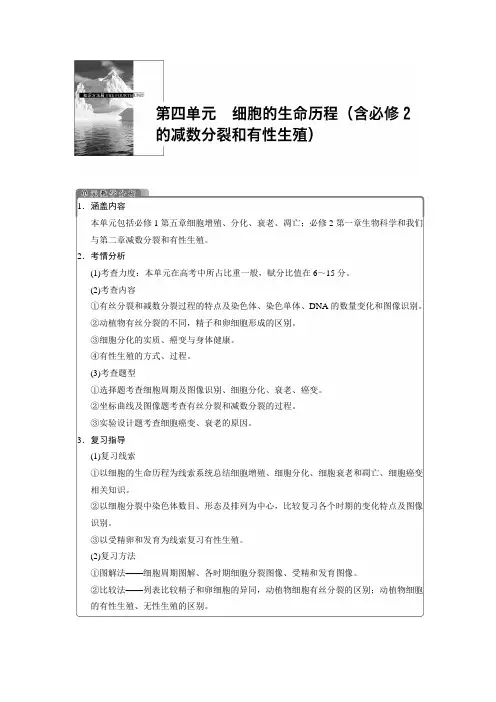 高考生物一轮复习 第四单元 第11讲 细胞增殖教学案 苏教版