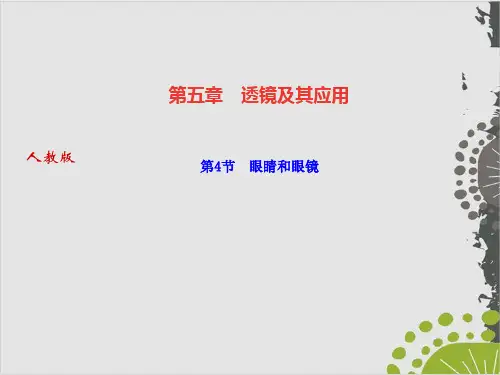 人教教材《眼睛和眼镜》优秀课件1
