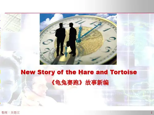 龟兔赛跑故事新编