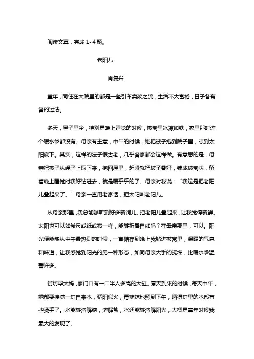 肖复兴《老阳儿》阅读练习及答案