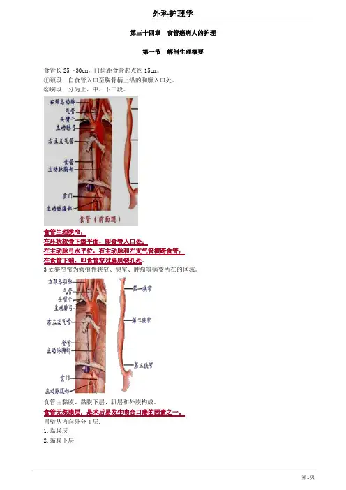 34章 食管癌病人的护理