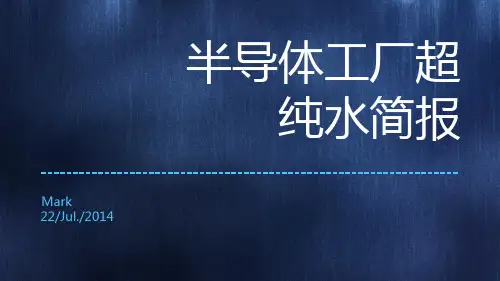 半导体工厂超纯水简报.pptx