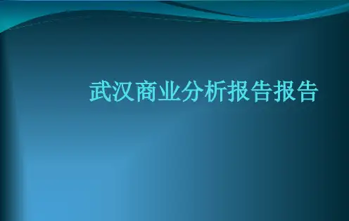 武汉商业分析报告报告