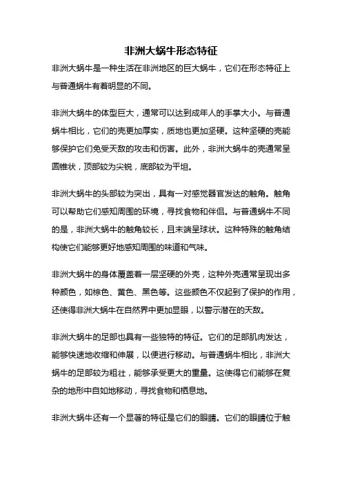 非洲大蜗牛形态特征