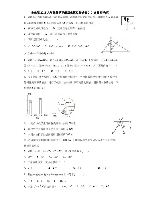 鲁教版2019六年级数学下册期末模拟测试卷2( 含答案详解)