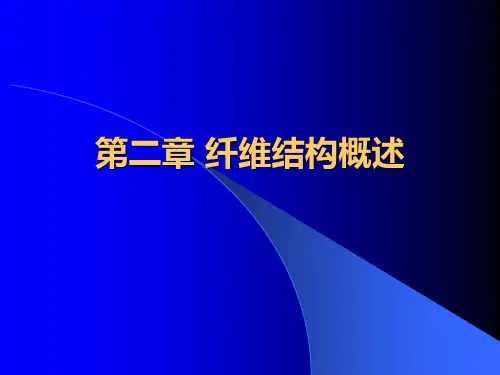 纤维结构特征概述