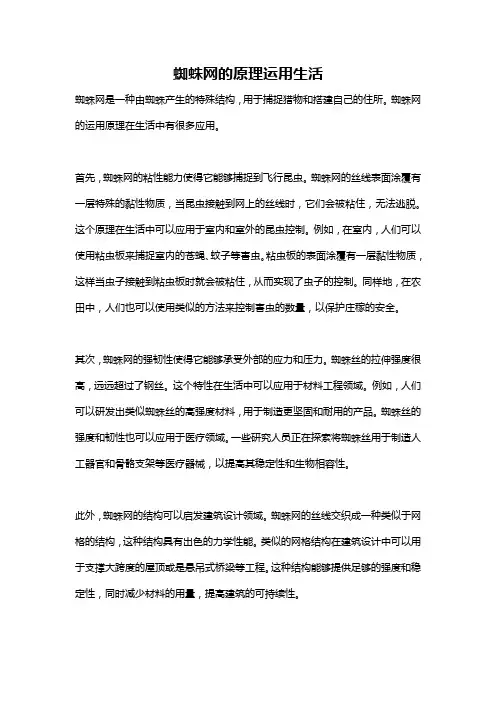 蜘蛛网的原理运用生活