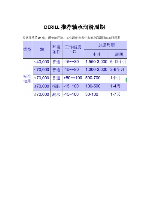 DERILL推荐轴承润滑周期