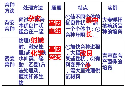 五种育种方法总结