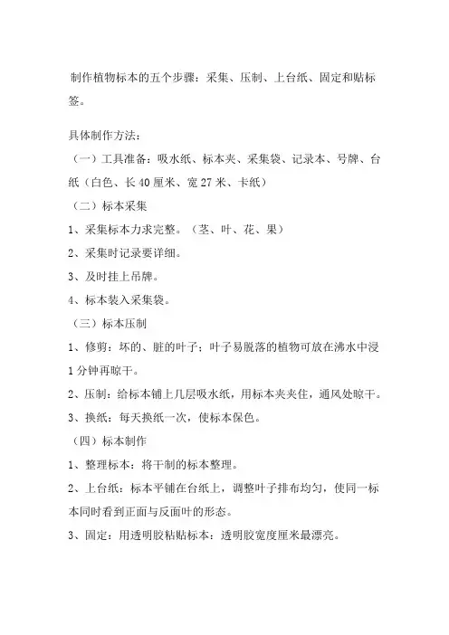 制作植物标本的五个步骤