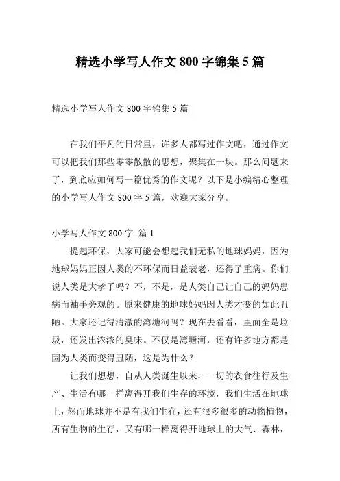 精选小学写人作文800字锦集5篇