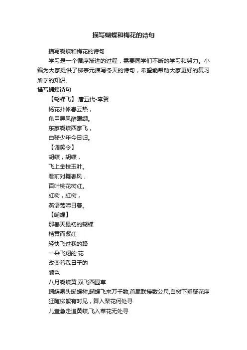 描写蝴蝶和梅花的诗句